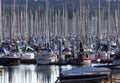 Marina Sailboats and Masts