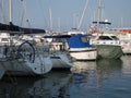 Marina with sailboats moored at the docks Royalty Free Stock Photo