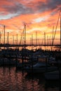 Marina at Sunrise Royalty Free Stock Photo