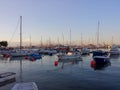 Marina at Sunset