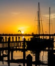 Marina sunset with sailboats and birds Royalty Free Stock Photo