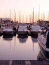 Marina at Vilamoura Royalty Free Stock Photo