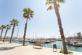 Marina with yachts in Alicante, Spain, Mediterranean sea. Empty bench and palm trees, sunny day