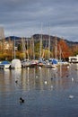 Yachts at Port de Pully Habor , Lake Geneva , Switzerland