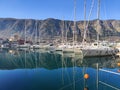 Marina for yachts, port of Kotor