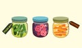 Marinade jars.Autumn harvesting. Pickles,carrots with spices and radish slices in a glass bowl with a colored lid.