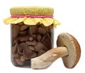 Marinaded mushrooms Royalty Free Stock Photo