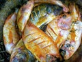 Marinate fresh tilapia fish with spices typical of Indonesian food recipes