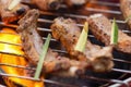 Marinated With BBQ Sauce Pork Spare Rib On The Hot Charcoal Grill With Bright Flames In The Background, Close Up. Royalty Free Stock Photo