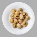 Marinated champignons on a white round plate. Light gray isolated background. Top view.