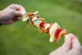 Marinated chicken with fresh vegetables- shashlik Royalty Free Stock Photo