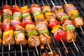 marinated chicken kebabs on a barbecue grill