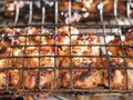 Marinated chicken portions in metal grilling basket, Cooking food on fire. Summer barbeque time theme. Picnic in a park or back