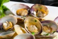 Marinated clams Royalty Free Stock Photo