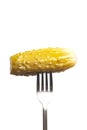 Marinated cornichon on the fork isolated on the white background Royalty Free Stock Photo