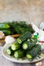 Marinated cucumbers gherkins. Lightly salted cucumber on the kitchen wooden table.