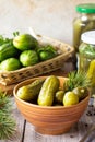 Marinated cucumbers gherkins. Pickles with fir branch on the kitchen wooden table. Royalty Free Stock Photo