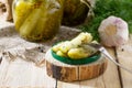 Marinated cucumbers gherkins. Marinated pickles with mustard and garlic Royalty Free Stock Photo