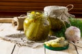 Marinated cucumbers gherkins. Marinated pickles with mustard and garlic