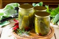 Marinated cucumbers gherkins. Marinated pickles with rosemary and chili Royalty Free Stock Photo