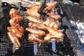 Marinated, fried with a crispy golden crust fried chicken wings on the grill. Royalty Free Stock Photo