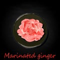 Marinated ginger slices illustration isolated
