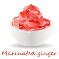 Marinated ginger slices illustration isolated