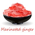 Marinated ginger slices illustration isolated