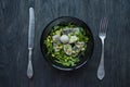 Marinated herring with arugula, onions, boiled quail eggs and lemon juice and olive oil. Delicious salad. Proper nutrition. Dark Royalty Free Stock Photo
