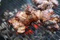 Marinated lamb on hot grill Royalty Free Stock Photo