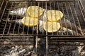 Marinated mackerel fish in wire rack for cooking over an open fire Royalty Free Stock Photo