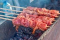 Marinated meat shashlik on preparing on barbecue grill. Roast Beef Kebabs being on BBQ in steam and smoke. Closeup meat skewers. Royalty Free Stock Photo