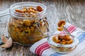 Marinated Mushrooms in a Glass Jar Royalty Free Stock Photo