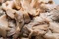 Marinated oyster mushrooms on a bowl