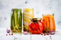 Marinated pickles variety preserving jars. Homemade green beans, squash, radish, carrots, cauliflower pickles. Fermented food Royalty Free Stock Photo