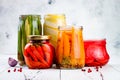 Marinated pickles variety preserving jars. Homemade green beans, squash, radish, carrots, red chili peppers pickles. Royalty Free Stock Photo