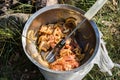 Marinated pork in a metal bowl. Delicacies prepared for grilling Royalty Free Stock Photo