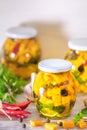 Marinated preserving jars. Homemade orange cut pumpkin pickles with red hot chili peppers, fresh parsley, spices on light gray Royalty Free Stock Photo