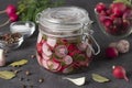 Marinated radish with dill and garlic in glass jar on gray background Royalty Free Stock Photo