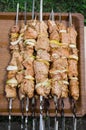 Marinated raw pork skewers with onion rings on skewers. Barbecue With Delicious Grilled Meat Royalty Free Stock Photo