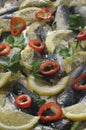Marinated sardine fish Royalty Free Stock Photo