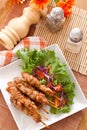 BBQ marinated shashlik Royalty Free Stock Photo