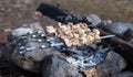 Marinated shashlik over charcoal