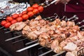 Marinated shashlik preparing on a barbecue grill over charcoal. Shashlik or Shish kebab popular in Eastern Europe. Shashlyk skewe Royalty Free Stock Photo