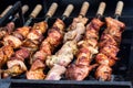 Marinated shashlik preparing on a barbecue grill over charcoal. Shashlik or Shish kebab popular in Eastern Europe. Shashlyk skewe Royalty Free Stock Photo