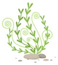 Marine algae icon. Cartoon seaweed. Underwater plant