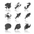 Marine animals drop shadow black glyph icons set. Swimming shark, anglerfish, butterflyfish. Underwater creature Royalty Free Stock Photo