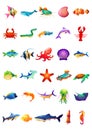 30 Marine Animals Set - Bright Colored