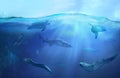 Marine animals in tropical waters. Royalty Free Stock Photo