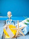 Marine aromatherapy spa treatment Royalty Free Stock Photo
